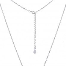 Cadena plata libélula