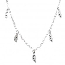 Collar de plata con plumas